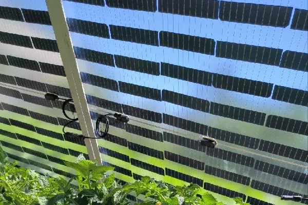Uzbekistan Adopts New Solar PV BIPV Components to Power Vegetable Greenhouses